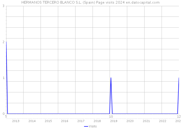 HERMANOS TERCERO BLANCO S.L. (Spain) Page visits 2024 