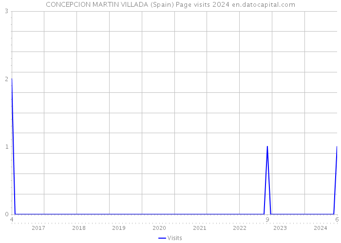 CONCEPCION MARTIN VILLADA (Spain) Page visits 2024 