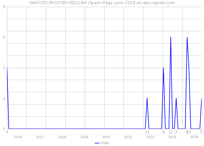 NARCISO IRIGOYEN RECLUSA (Spain) Page visits 2024 