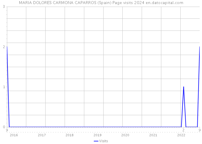 MARIA DOLORES CARMONA CAPARROS (Spain) Page visits 2024 