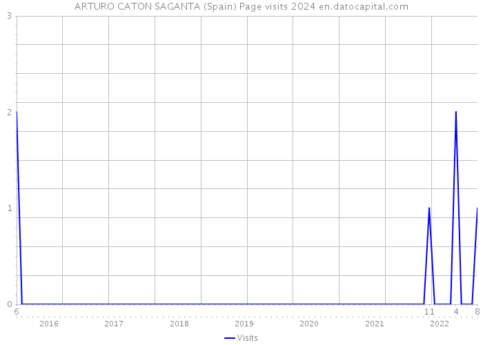 ARTURO CATON SAGANTA (Spain) Page visits 2024 