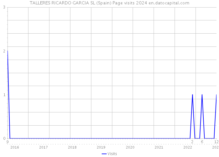 TALLERES RICARDO GARCIA SL (Spain) Page visits 2024 