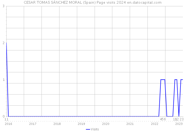 CESAR TOMAS SÁNCHEZ MORAL (Spain) Page visits 2024 