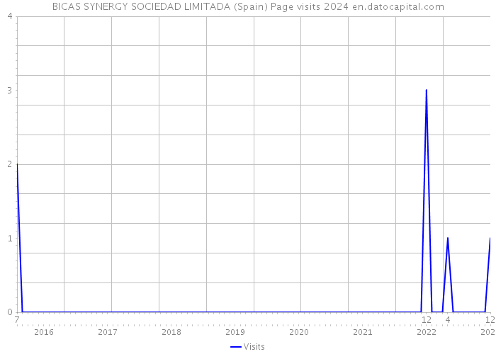 BICAS SYNERGY SOCIEDAD LIMITADA (Spain) Page visits 2024 