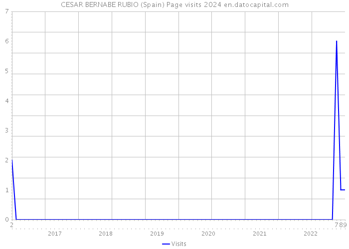 CESAR BERNABE RUBIO (Spain) Page visits 2024 