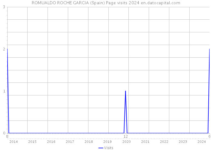 ROMUALDO ROCHE GARCIA (Spain) Page visits 2024 