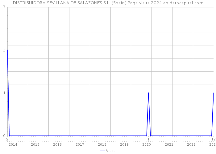 DISTRIBUIDORA SEVILLANA DE SALAZONES S.L. (Spain) Page visits 2024 