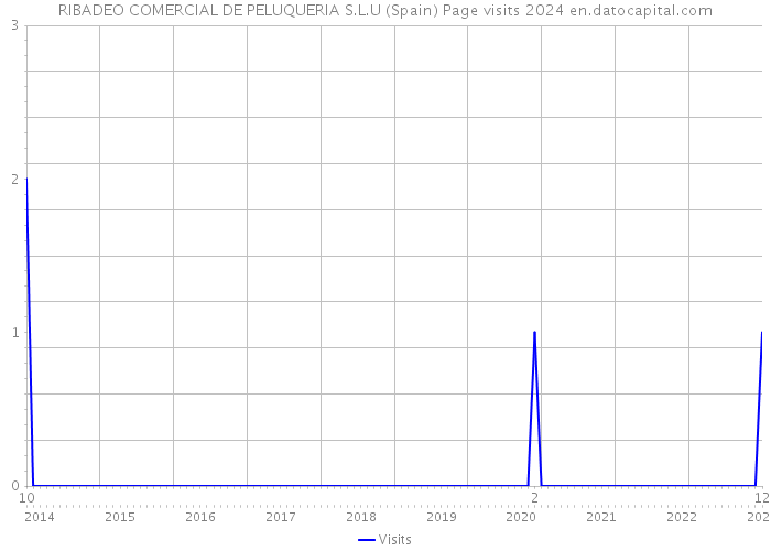 RIBADEO COMERCIAL DE PELUQUERIA S.L.U (Spain) Page visits 2024 