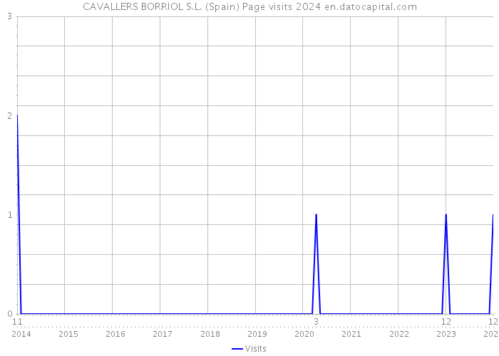 CAVALLERS BORRIOL S.L. (Spain) Page visits 2024 