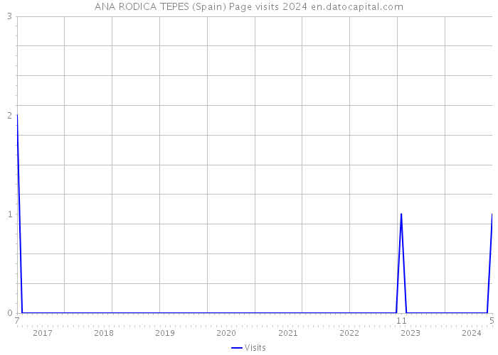 ANA RODICA TEPES (Spain) Page visits 2024 