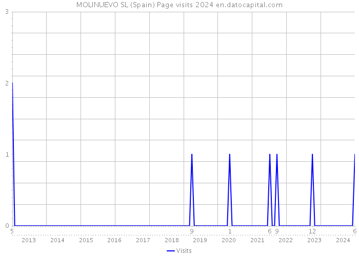 MOLINUEVO SL (Spain) Page visits 2024 