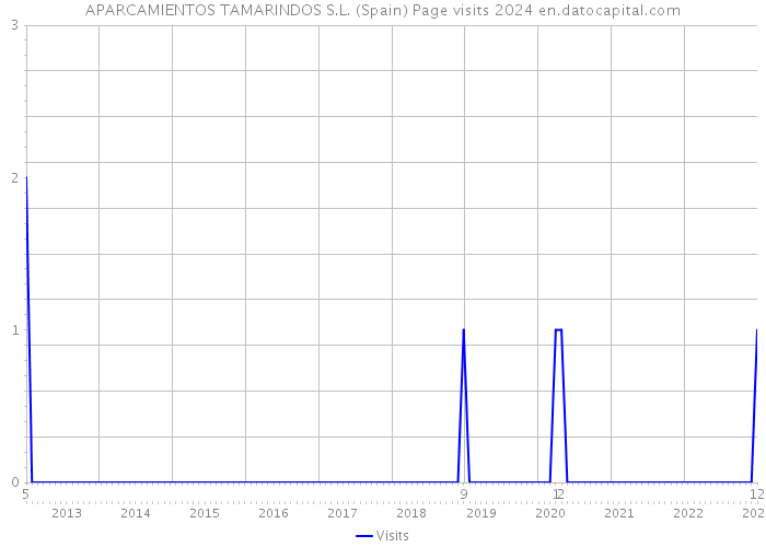 APARCAMIENTOS TAMARINDOS S.L. (Spain) Page visits 2024 