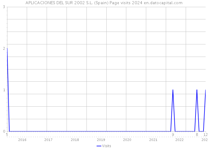 APLICACIONES DEL SUR 2002 S.L. (Spain) Page visits 2024 