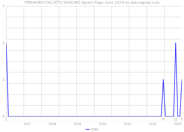 FERNANDO FALCETO SANCHEZ (Spain) Page visits 2024 