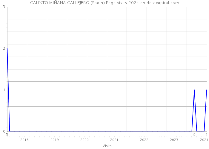CALIXTO MIÑANA CALLEJERO (Spain) Page visits 2024 