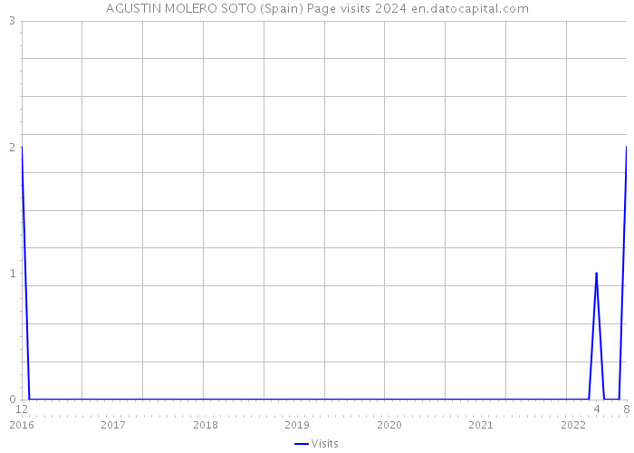 AGUSTIN MOLERO SOTO (Spain) Page visits 2024 