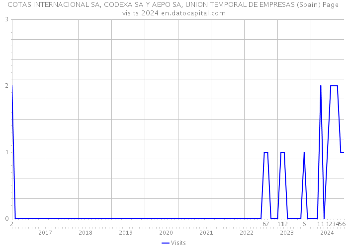COTAS INTERNACIONAL SA, CODEXA SA Y AEPO SA, UNION TEMPORAL DE EMPRESAS (Spain) Page visits 2024 