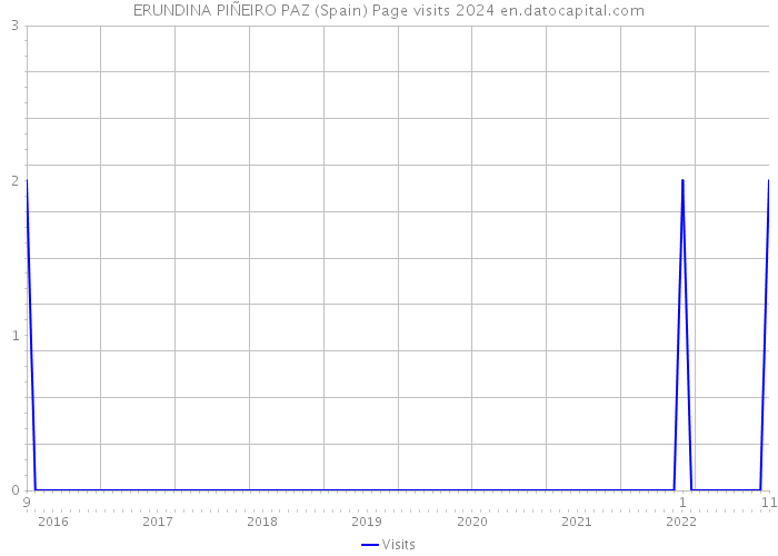 ERUNDINA PIÑEIRO PAZ (Spain) Page visits 2024 