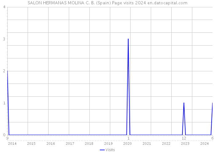 SALON HERMANAS MOLINA C. B. (Spain) Page visits 2024 