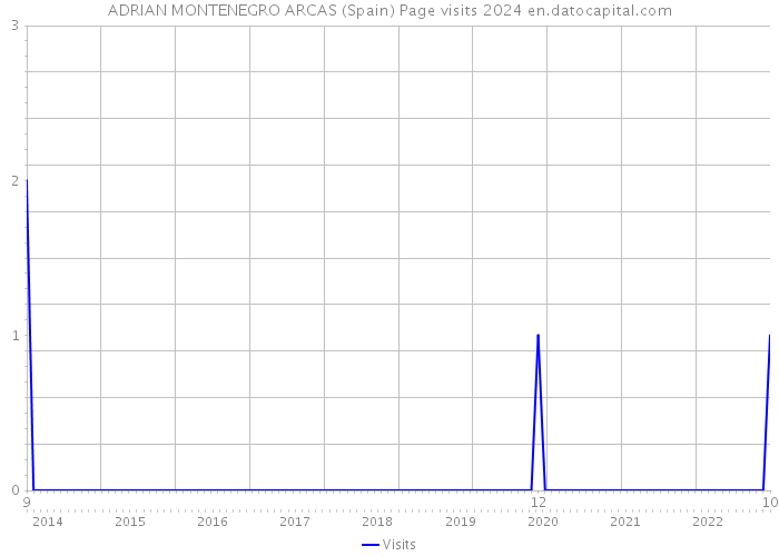 ADRIAN MONTENEGRO ARCAS (Spain) Page visits 2024 