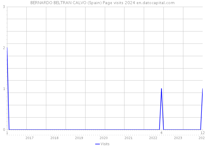 BERNARDO BELTRAN CALVO (Spain) Page visits 2024 