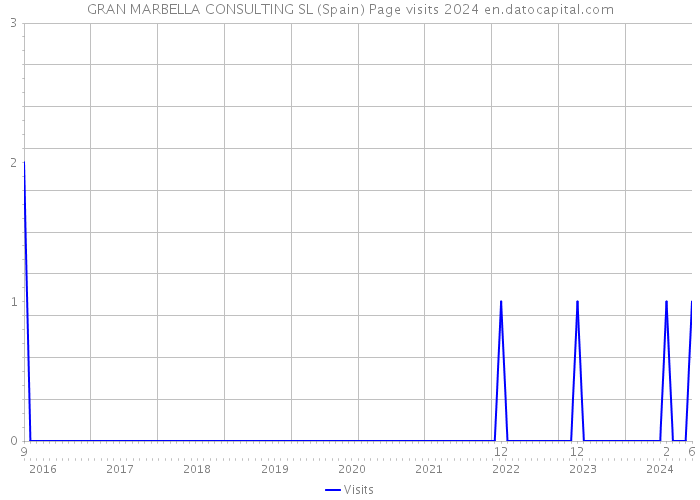 GRAN MARBELLA CONSULTING SL (Spain) Page visits 2024 