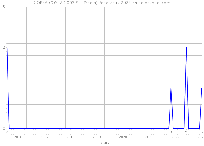 COBRA COSTA 2002 S.L. (Spain) Page visits 2024 
