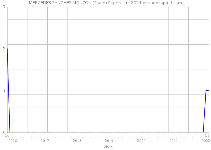 MERCEDES SANCHEZ MONZON (Spain) Page visits 2024 
