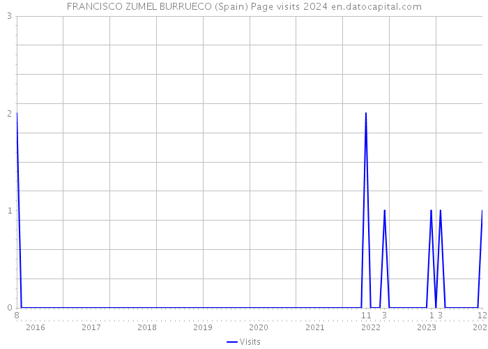 FRANCISCO ZUMEL BURRUECO (Spain) Page visits 2024 