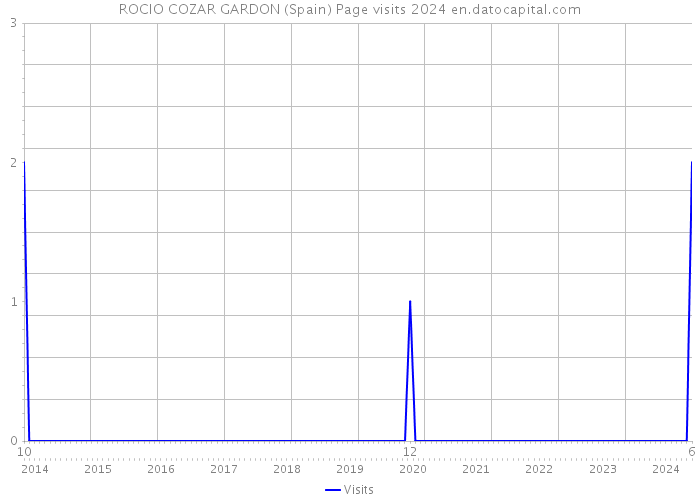 ROCIO COZAR GARDON (Spain) Page visits 2024 