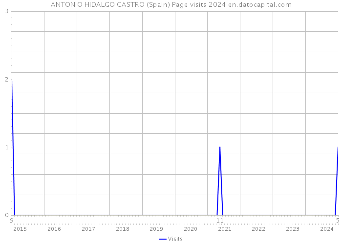 ANTONIO HIDALGO CASTRO (Spain) Page visits 2024 