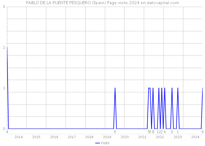 PABLO DE LA PUENTE PESQUERO (Spain) Page visits 2024 