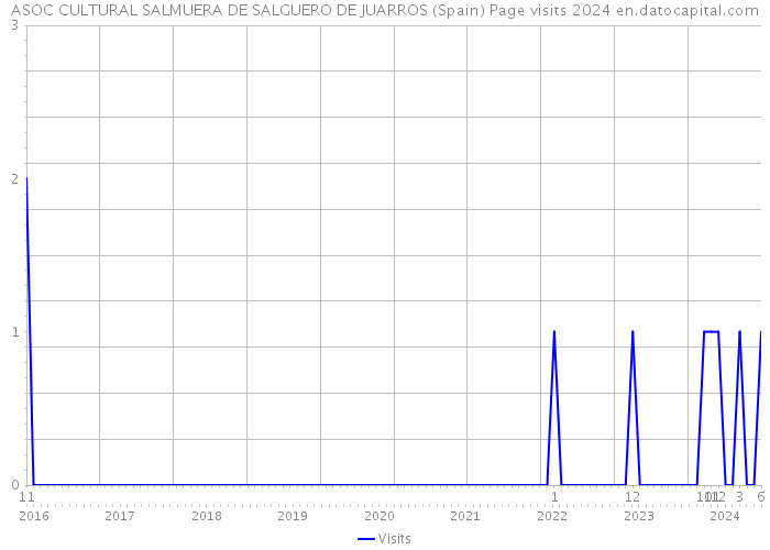 ASOC CULTURAL SALMUERA DE SALGUERO DE JUARROS (Spain) Page visits 2024 