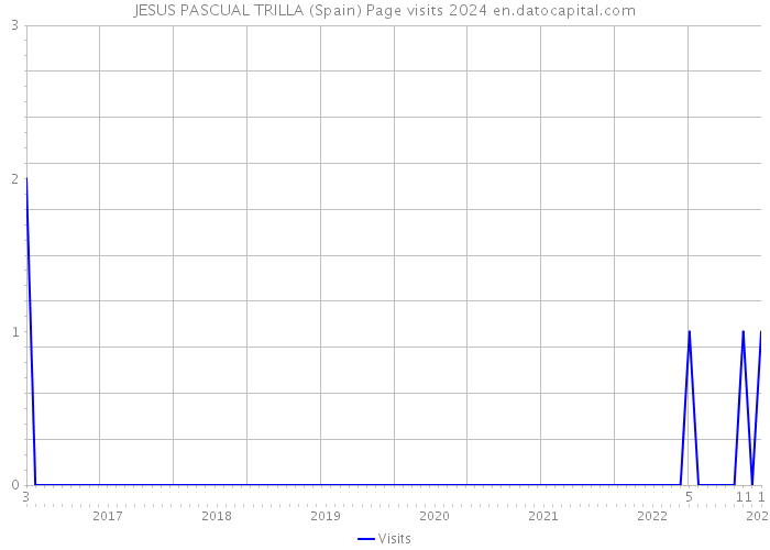 JESUS PASCUAL TRILLA (Spain) Page visits 2024 