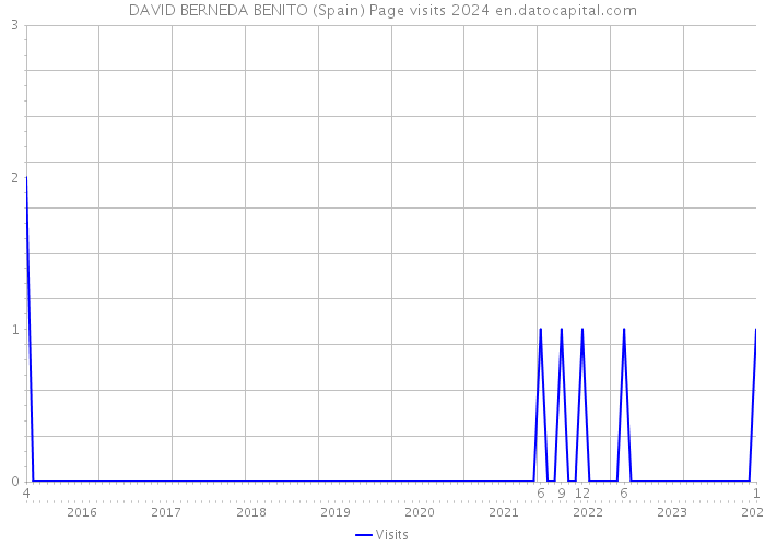 DAVID BERNEDA BENITO (Spain) Page visits 2024 