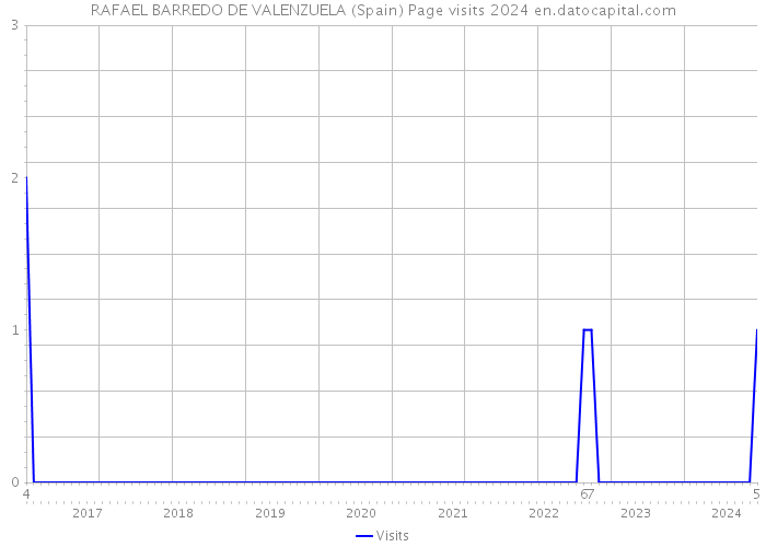 RAFAEL BARREDO DE VALENZUELA (Spain) Page visits 2024 