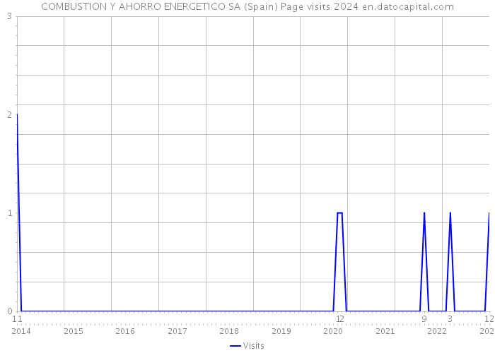 COMBUSTION Y AHORRO ENERGETICO SA (Spain) Page visits 2024 