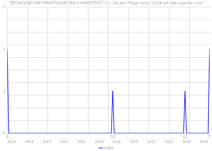 TECNIQUES INFORMATIQUES BAIX MAESTRAT S.L. (Spain) Page visits 2024 