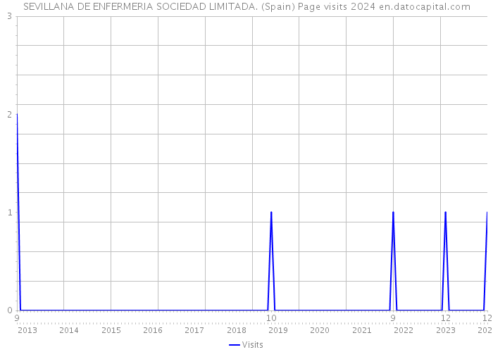 SEVILLANA DE ENFERMERIA SOCIEDAD LIMITADA. (Spain) Page visits 2024 