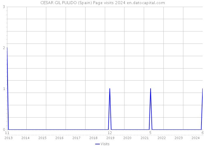 CESAR GIL PULIDO (Spain) Page visits 2024 