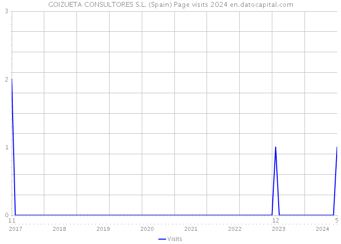 GOIZUETA CONSULTORES S.L. (Spain) Page visits 2024 