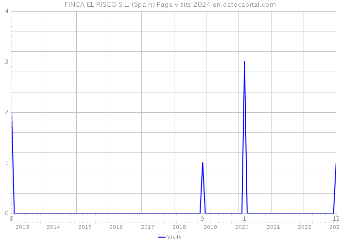 FINCA EL RISCO S.L. (Spain) Page visits 2024 