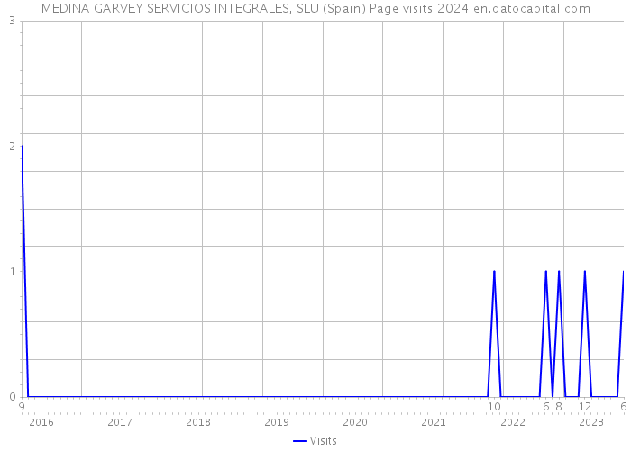 MEDINA GARVEY SERVICIOS INTEGRALES, SLU (Spain) Page visits 2024 
