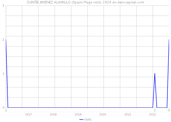 ZURIÑE JIMENEZ ALAMILLO (Spain) Page visits 2024 