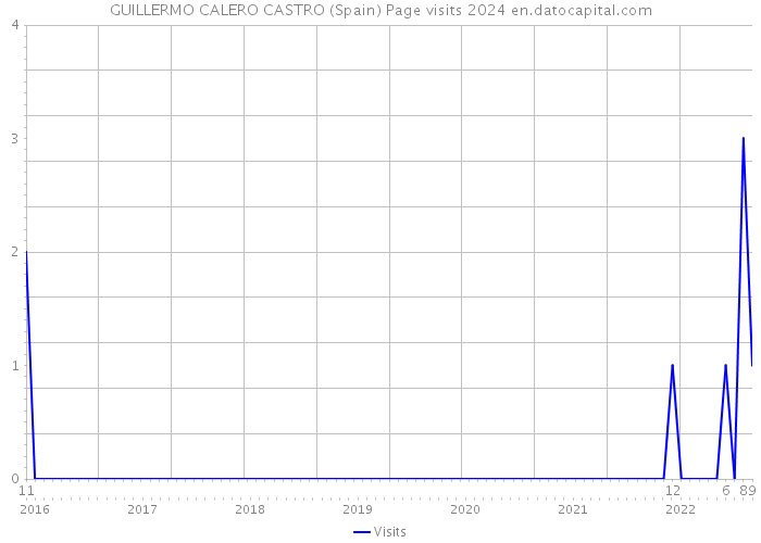 GUILLERMO CALERO CASTRO (Spain) Page visits 2024 
