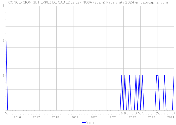 CONCEPCION GUTIERREZ DE CABIEDES ESPINOSA (Spain) Page visits 2024 