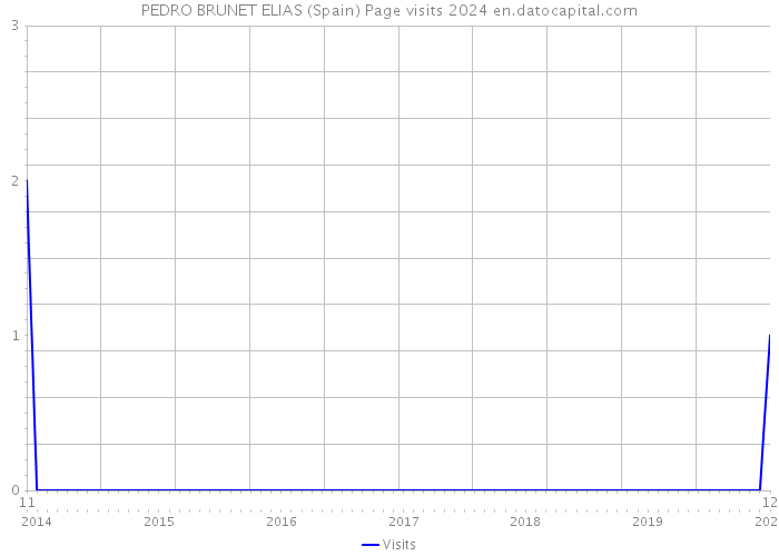 PEDRO BRUNET ELIAS (Spain) Page visits 2024 