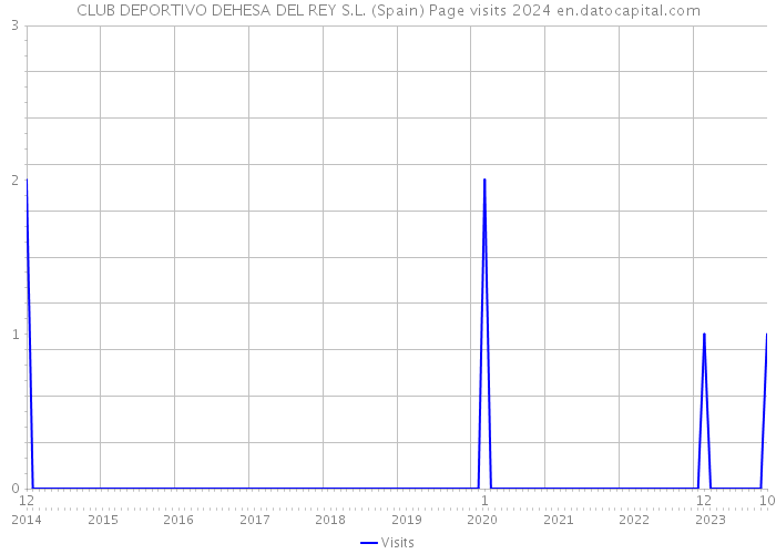 CLUB DEPORTIVO DEHESA DEL REY S.L. (Spain) Page visits 2024 