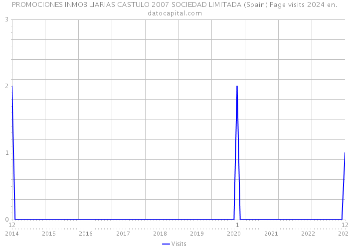 PROMOCIONES INMOBILIARIAS CASTULO 2007 SOCIEDAD LIMITADA (Spain) Page visits 2024 