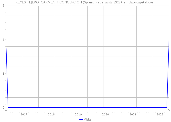 REYES TEJERO, CARMEN Y CONCEPCION (Spain) Page visits 2024 